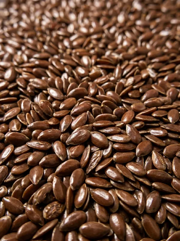 BROWN FLAX - Nutrient-dense brown flaxseeds rich in Omega-3s, ideal for commercial bakeries, cold-press linseed oil, and high-grade feed blends. (SEEDVAL B2B Wholesale)