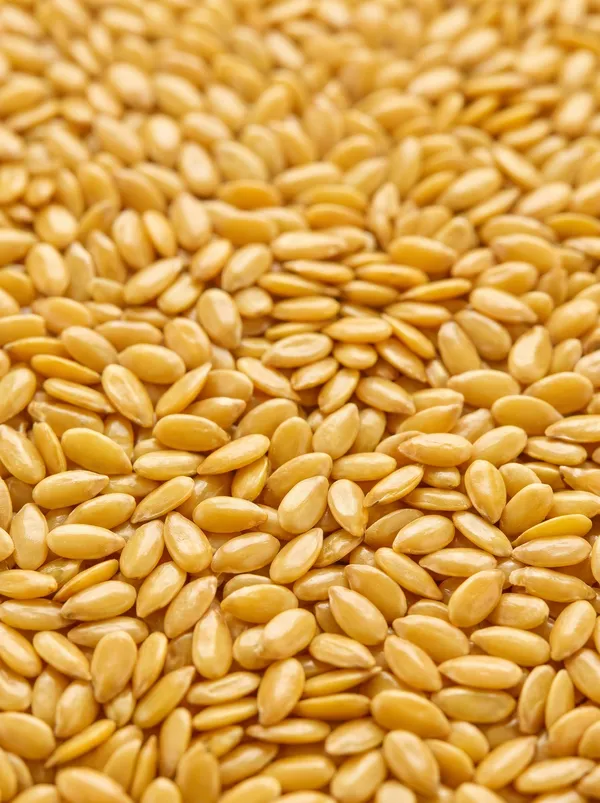 GOLDEN FLAX - Premium golden flaxseeds prized for their delicate nutty flavor and visual appeal in gourmet baking, muesli mixes, and retail packaging. (SEEDVAL B2B Wholesale)