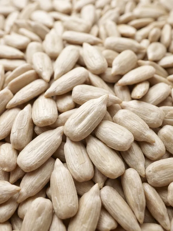 CONFECTIONERY GRADE - Extra-large premium kernels selected for high-end confectionery toppings, gourmet pastry baking, roasting, and retail snack packaging. (SEEDVAL B2B Wholesale)
