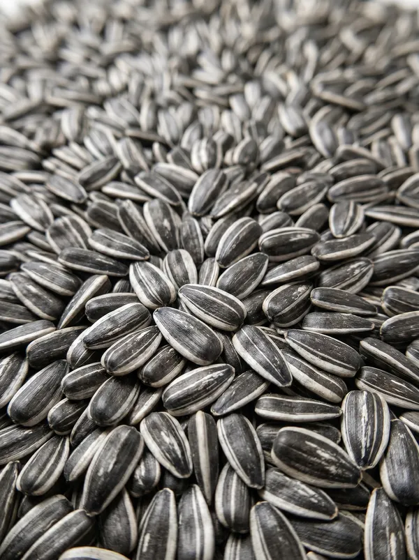 BIRD FEED SUNFLOWER - Small black and striped sunflower seeds featuring high bulk density and purity, ideal for wild bird feed blends and pet food manufacturing. (SEEDVAL B2B Wholesale)